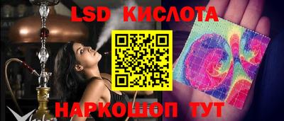 крисы Ставрополь