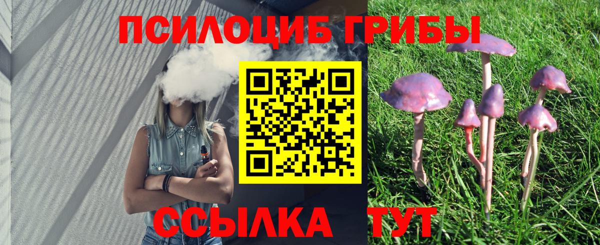 Нижнекамск  Галлюциногенные грибы ЛСД  Вход с VPN  Галлюциногенные грибы мухоморы 