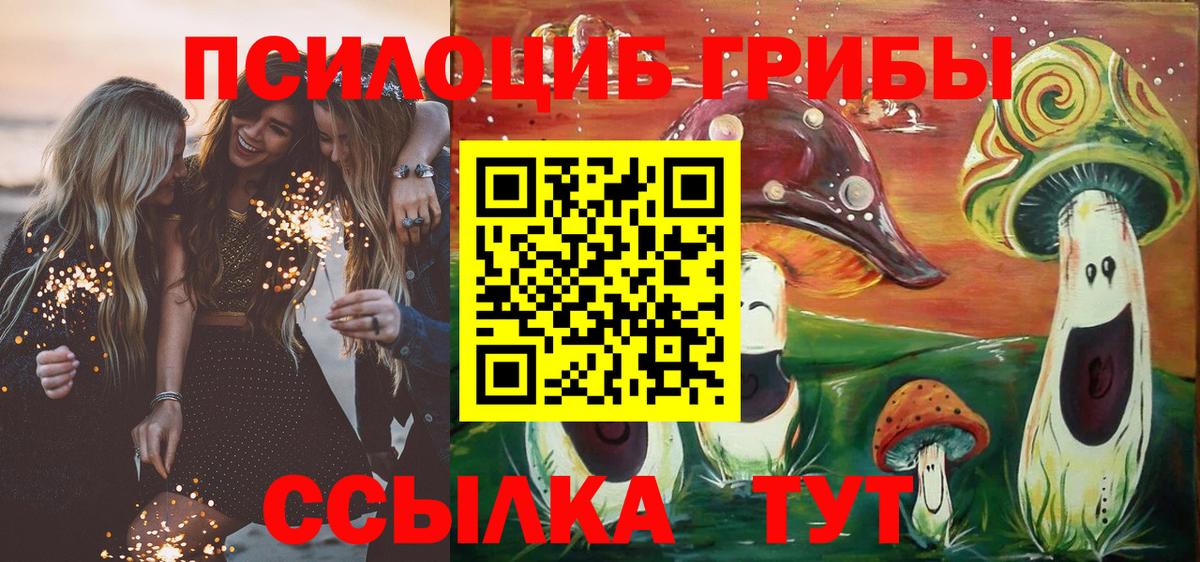Псилоцибиновые грибы GOLDEN TEACHER Нижнекамск